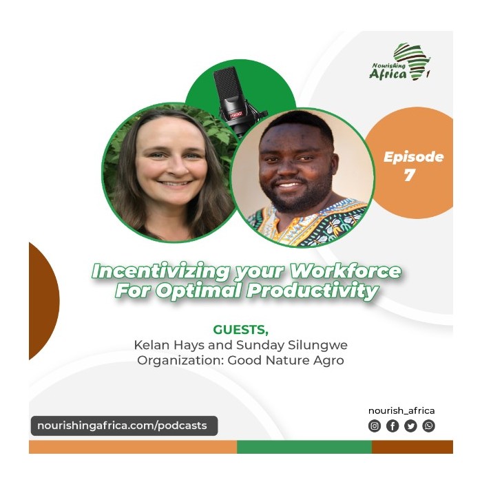 Incentivizing your Workforce for Optimal Productivity